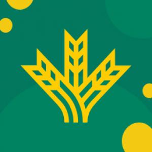 Logotipo Grupo Caja Rural